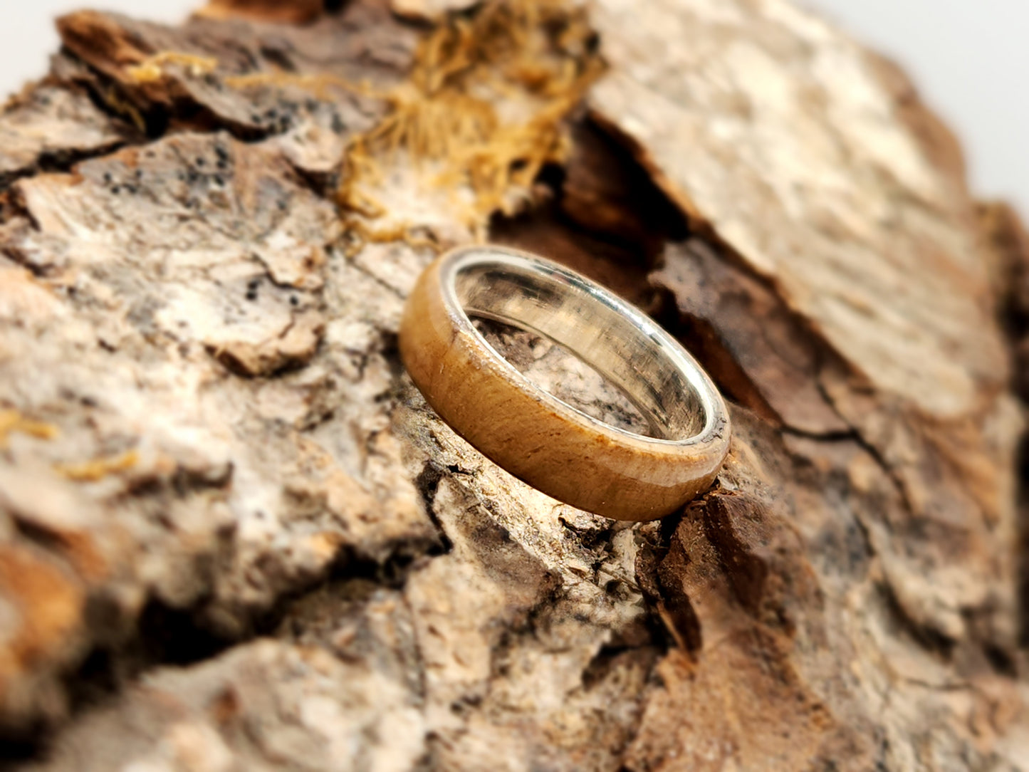 Dark Bentwood Ring | Copper Core | Size R | Sarah Evans Design